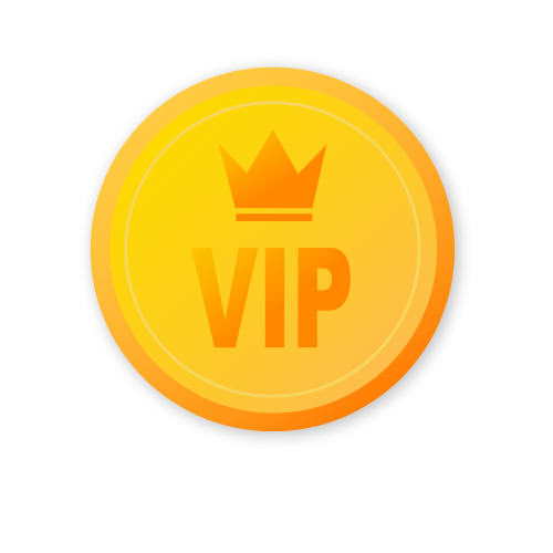 VIP Club